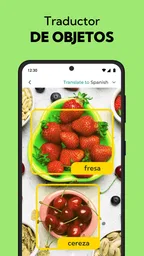Traductor de Voz & por Foto 4