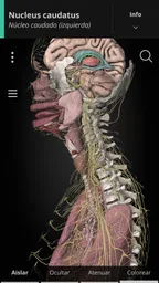 Anatomyka - Anatomía 3D 1
