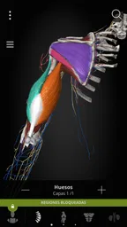 Anatomyka - Anatomía 3D 4