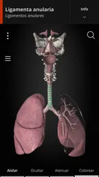 Anatomyka - Anatomía 3D 7