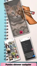 CalcaApp 8