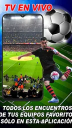 Como Ver Futbol en Vivo 1