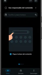 Pur Video Downloader 1