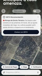 Orth 6
