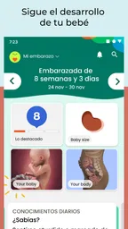 Mi embarazo y bebé 2