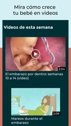 Mi embarazo y bebé 6