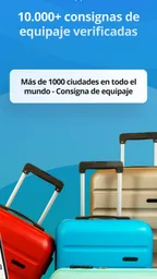 Radical: Consigna Equipaje 2