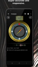 DS Compass 2