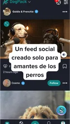 DogPack: Parques, perros y más 2