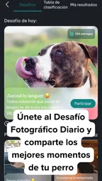 DogPack: Parques, perros y más 6