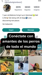 DogPack: Parques, perros y más 8