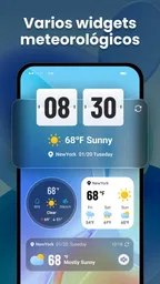 Tiempo en Vivo 6