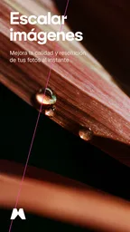 Magnific: Vídeo e Imagen IA 7