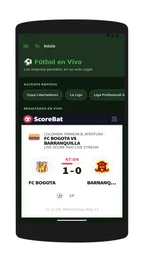 Pelota Libre 6