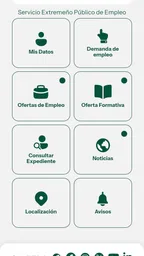 SEXPE 6