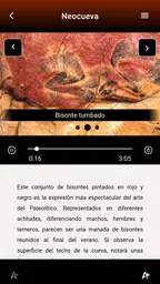 Museo de Altamira 6
