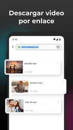 Descargador de Video HD 5