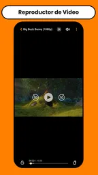 Inkaplay: Reproductor de Video 1