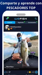 WeFish | Predicción de pesca 7