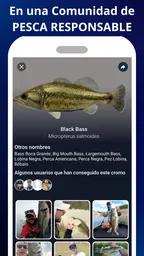 WeFish | Predicción de pesca 8
