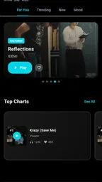 Offline Music Player- Solo 4