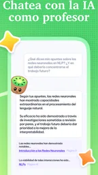 Kiwi AI: Estudio y Resúmenes 5