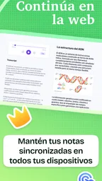 Kiwi AI: Estudio y Resúmenes 8