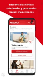 Kiwoko 4