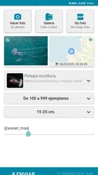 MedusApp 3