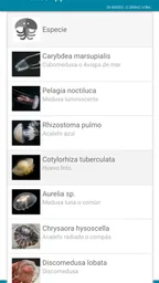 MedusApp 5