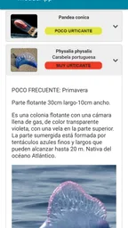MedusApp 6