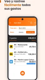 N2F - Gestión de gastos 3