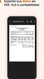 N2F - Gestión de gastos 4