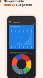 N2F - Gestión de gastos 7