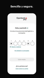 Openbank Pay 2
