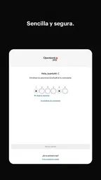 Openbank Pay 6