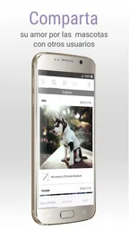 PetBacker-Cuidadores Mascotas 1