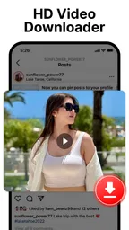 Descargador de Videos HD 1