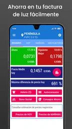 Ahorra en Luz. Precio luz hora 1
