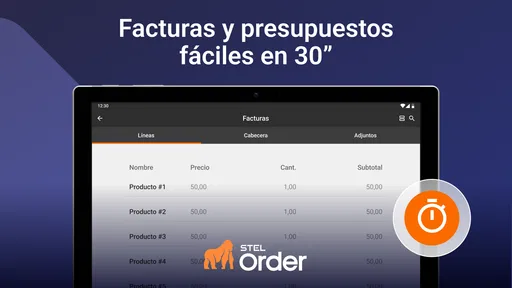 STEL Order - Facturación y Más 7