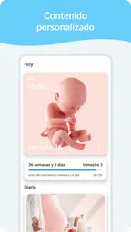 Embarazo: Calendario Diario 1