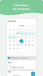 Embarazo: Calendario Diario 2