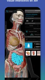 Atlas de anatomía humana 2026 1