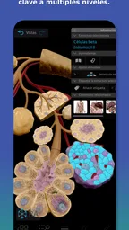 Atlas de anatomía humana 2026 2