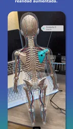 Atlas de anatomía humana 2026 5