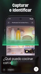 ChatGO - Asistente de Chat IA 4
