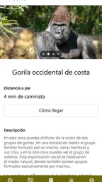 Bioparc Valencia 4
