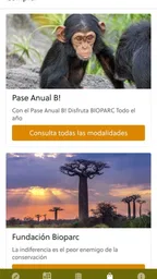 Bioparc Valencia 6
