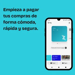 Bizum Pay 1
