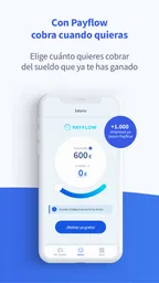 Payflow 1